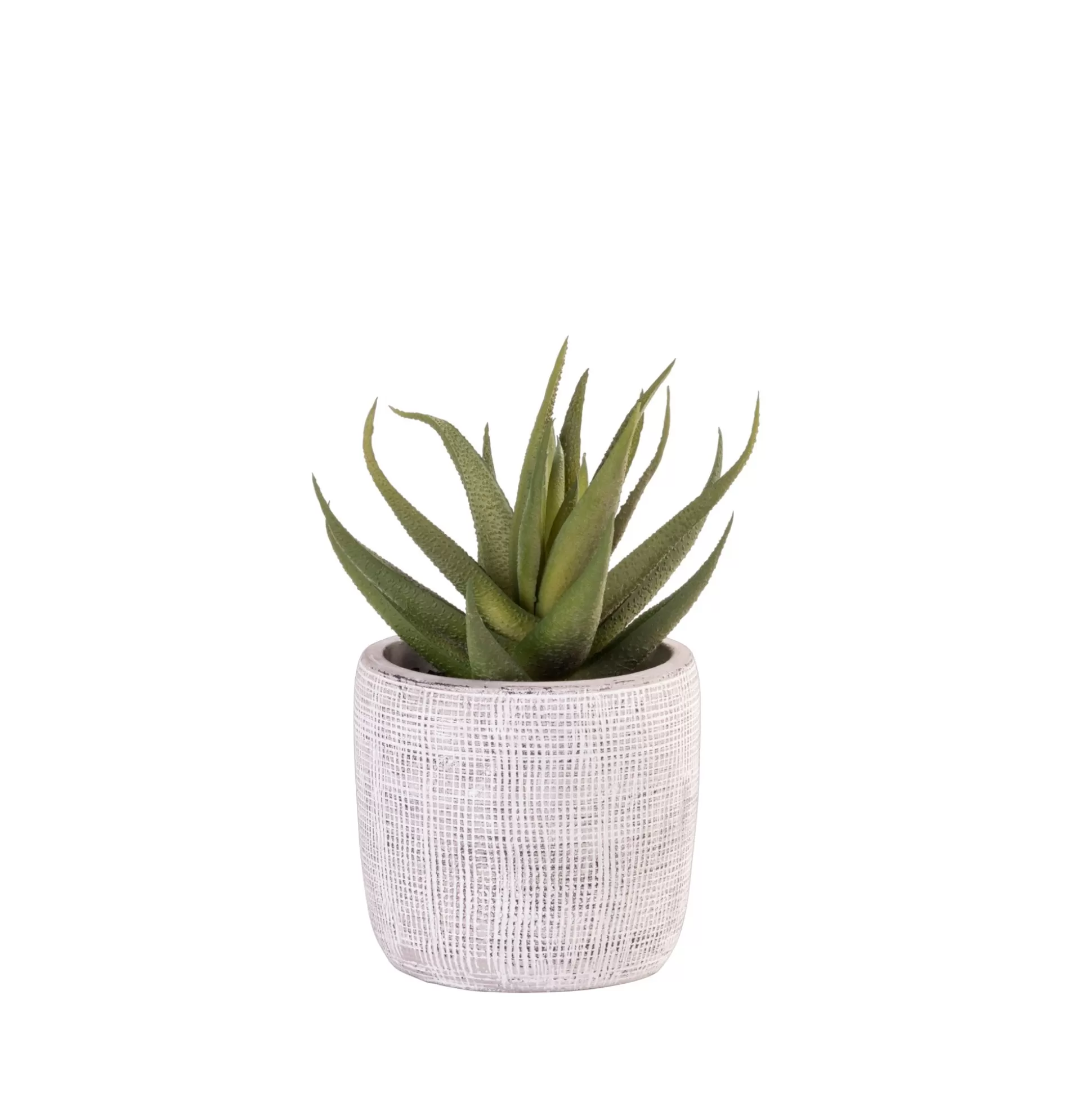 Plantas Artificiales<CASA Cement Planta Artificial Gris