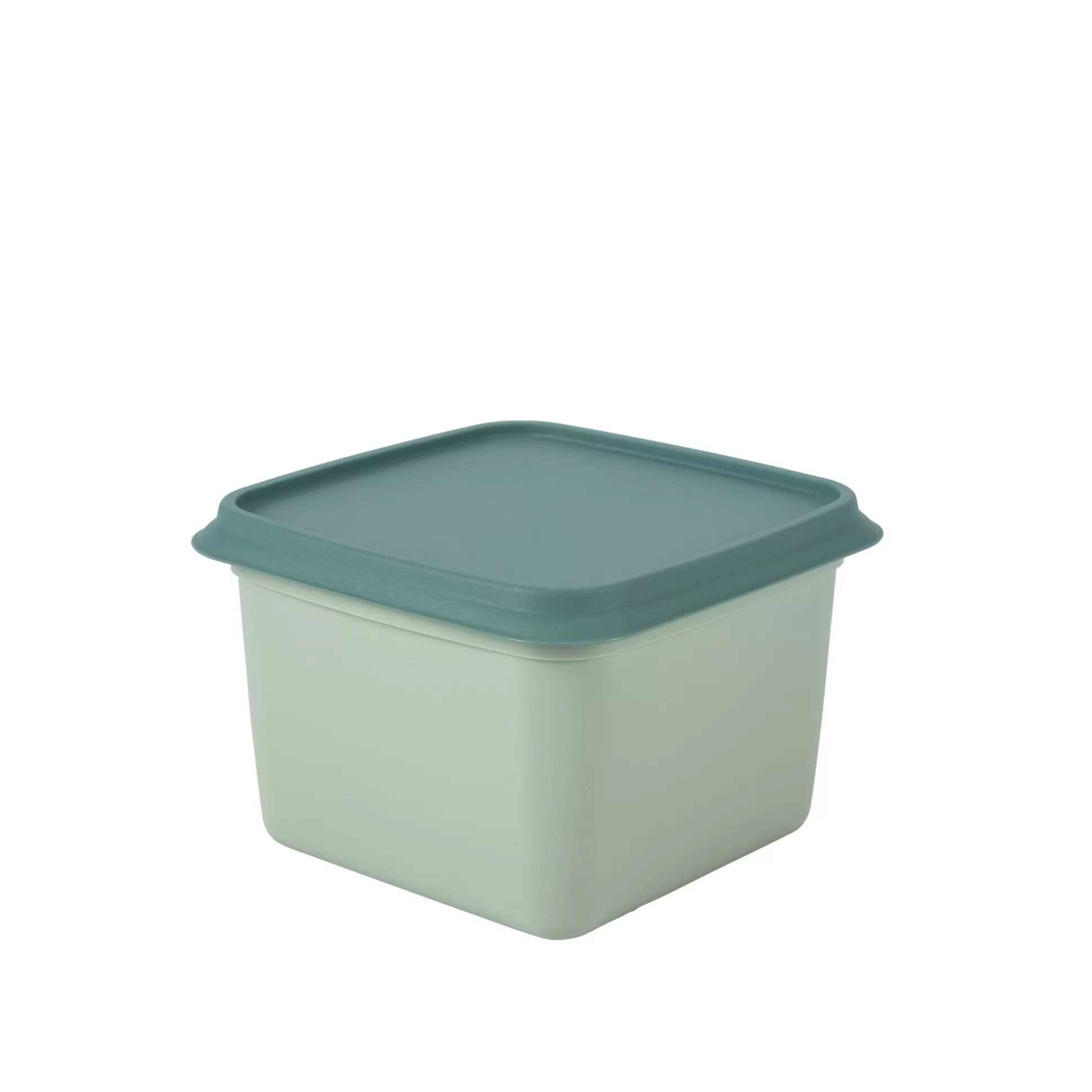 Taperes<CASA Freezer Cajas Congeladoras Juego De 10 Menta, Verde Oscuro