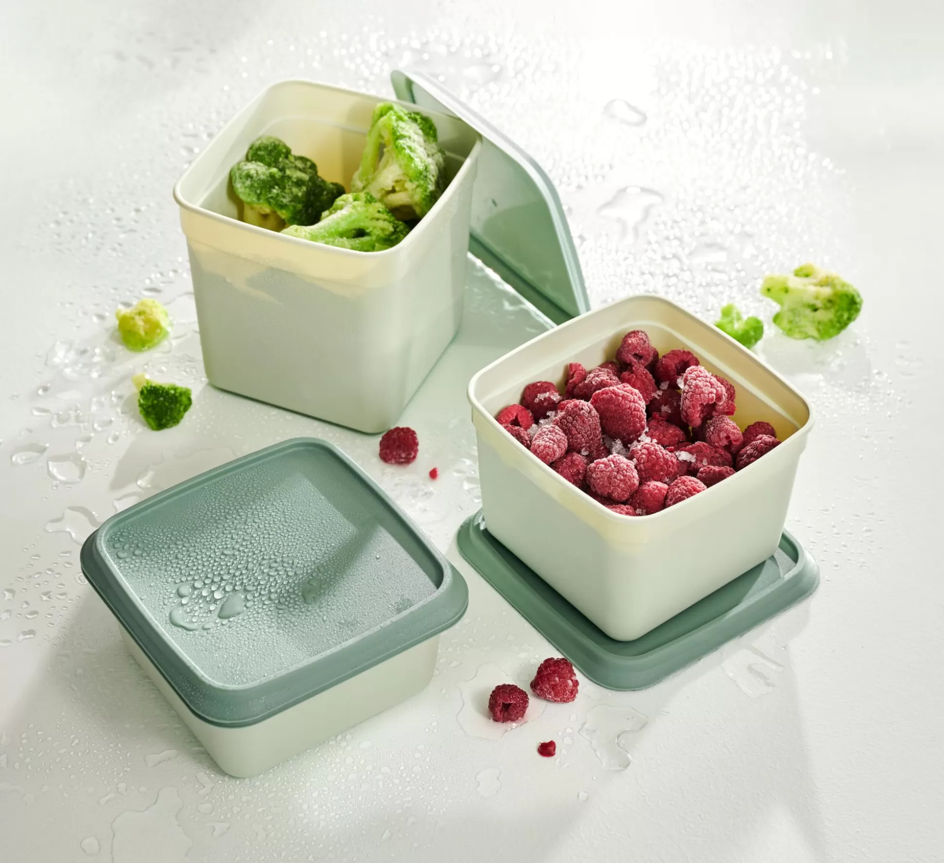 Taperes<CASA Freezer Cajas Congeladoras Juego De 10 Menta, Verde Oscuro