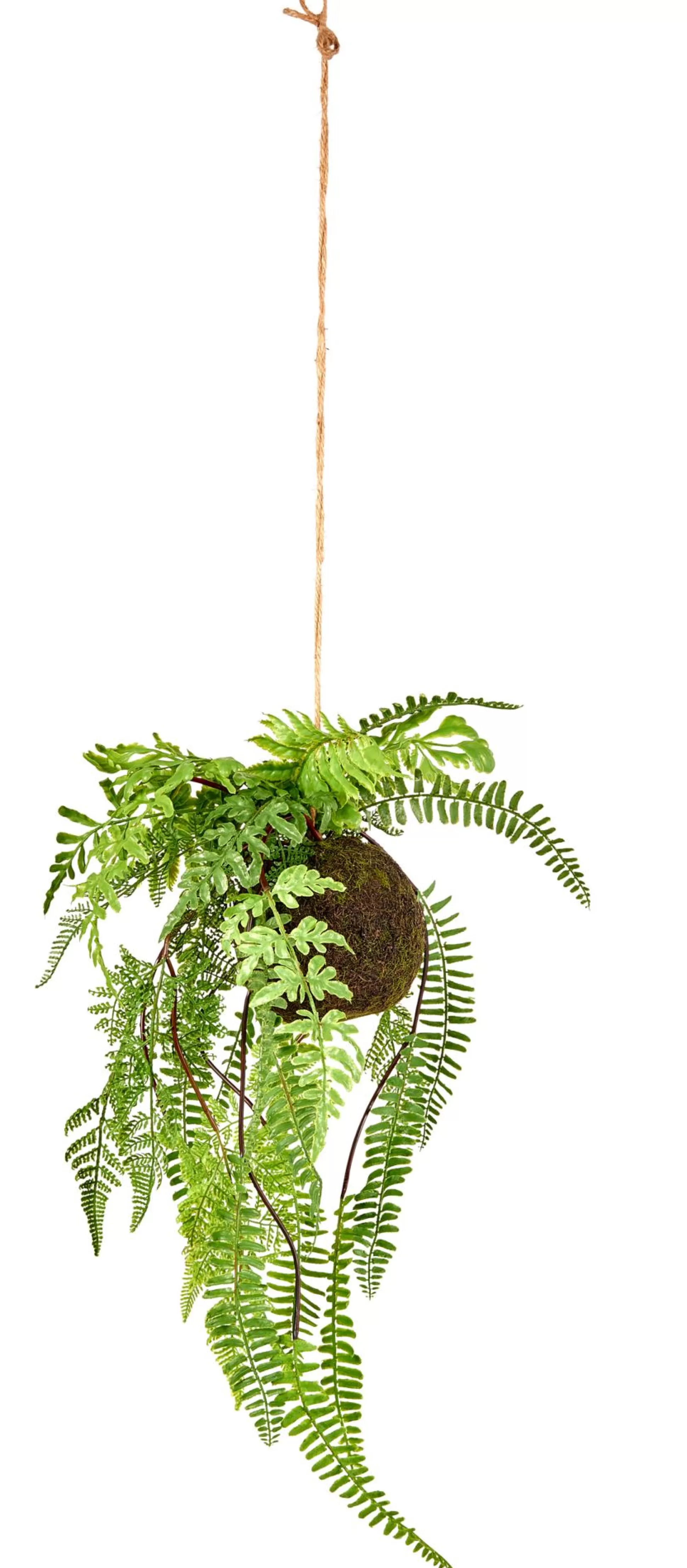 Plantas Artificiales<CASA Greenery Macetero Colgante Con Helecho Verde