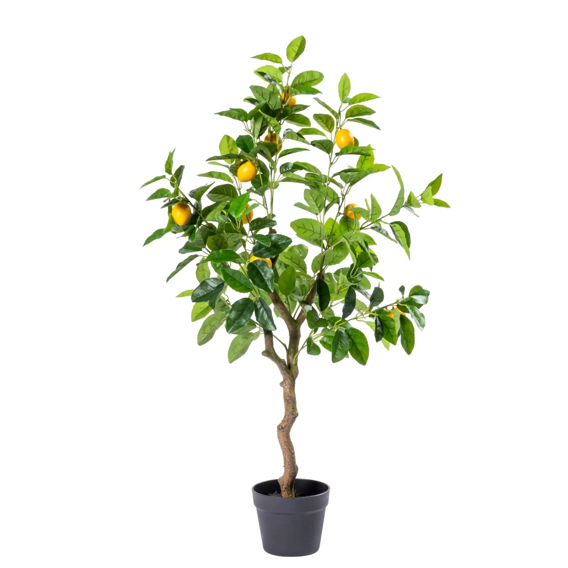 Plantas Artificiales<CASA Lemon Limonero Verde