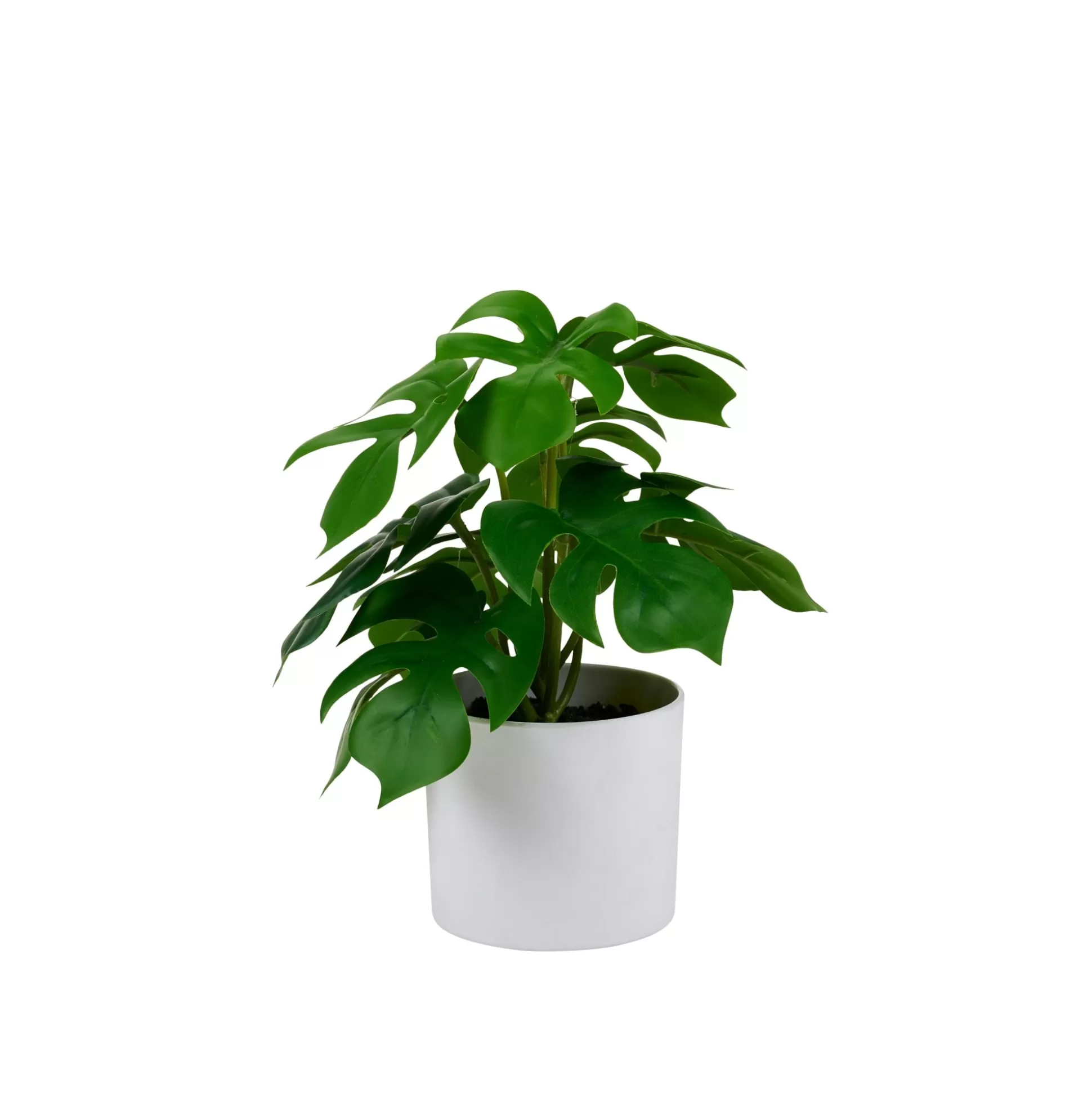 Plantas Artificiales<CASA Monstera Planta Varios Colores