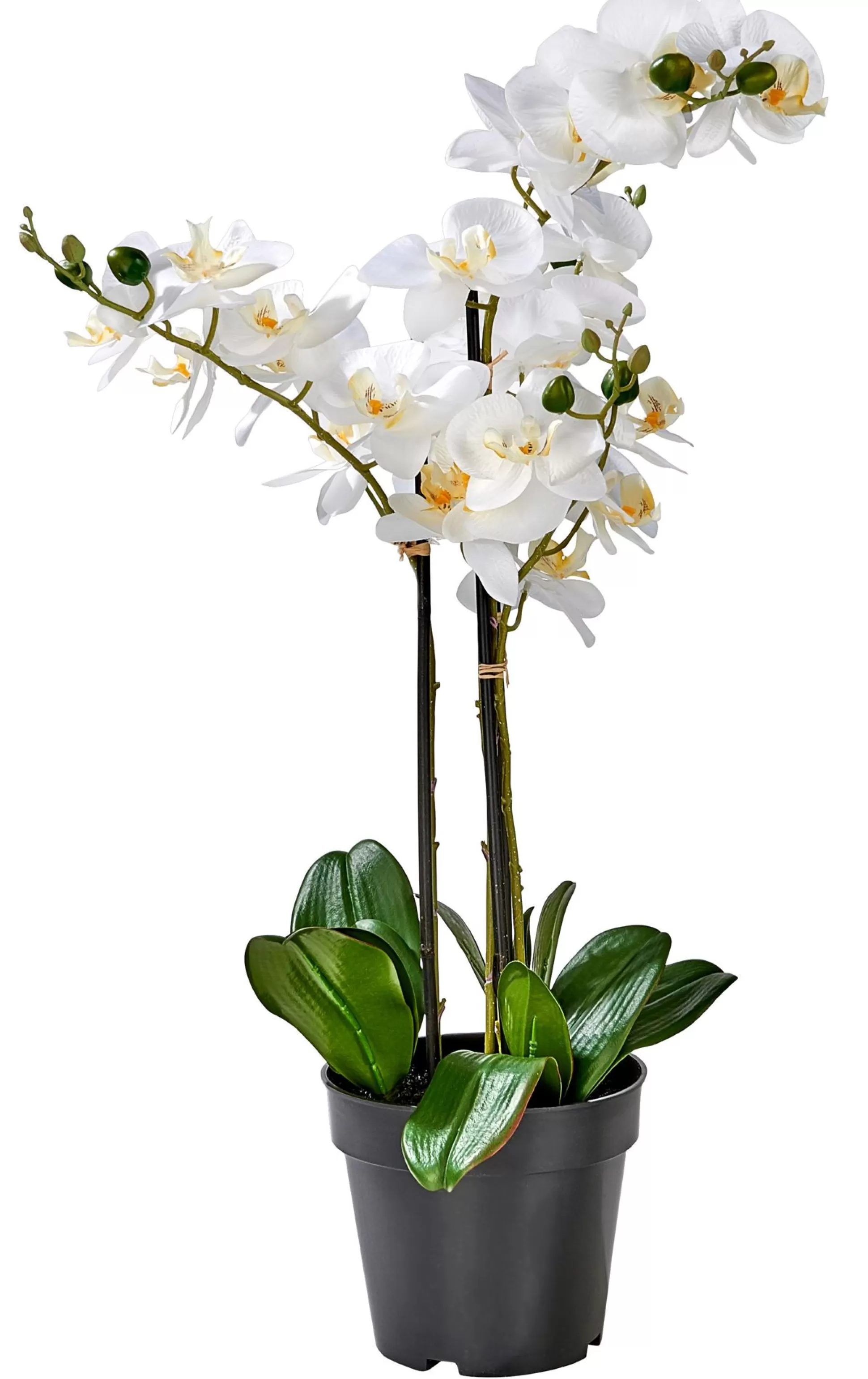 Plantas Artificiales<CASA Orchid Orquidea En Maceta Blanco